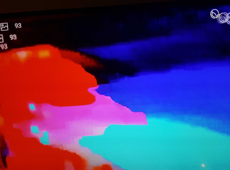 The Wandering Honk :: a blog of culture